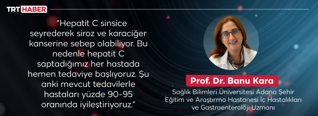 Sık görülen hepatit türleri neler?